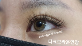 섬결속눈썹