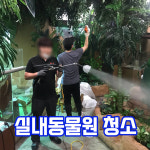 클린업플러스