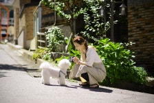 이코 그루밍