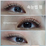 섬결속눈썹