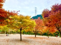 삼척엘림캠핑장