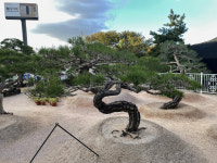 산내정원