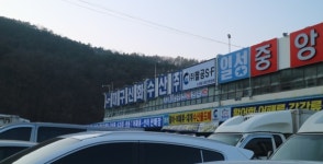 신화수산66번