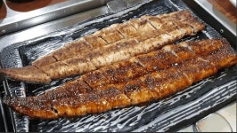 수유풍천민물장어