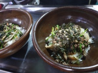 콩고을