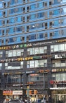 공차 강남구청역점