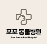 포포동물병원