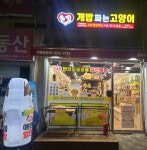 개밥파는고양이 불로점