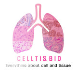 셀티스바이오