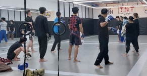 팀혼 TNT GYM