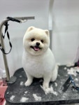 프리티우멍