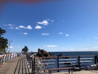 거진항바다조하