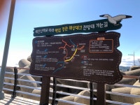 거진항바다조하
