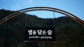 별을 담은 숲