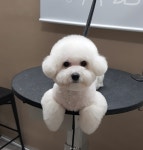 핑크멍