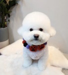핑크멍