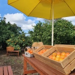 해품은체험농장