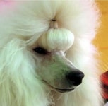 어스멍