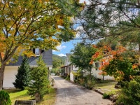 청송나무집펜션