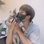 분당중앙동물병원