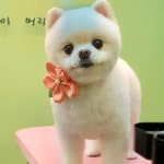 어스멍