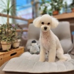 어스멍