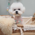 어스멍