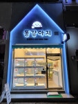 똥강아지 김해강아지분양 고양이분양