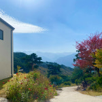 오도재 내공신공 한의원