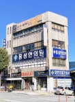 넝쿨