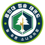 용인대청솔태권도