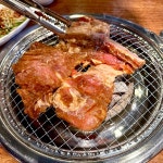 꽃보다소 양구점