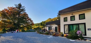 더 트리 홈 [ The Tree Home ]