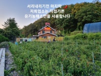 문일한우촌 오크벨리점