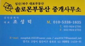 솔로몬부동산