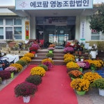 에코팜 부설 오토캠핑장