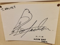비타C스킨갤러리