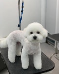 오늘도 예쁘개