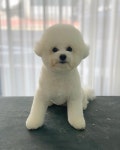 오늘도 예쁘개