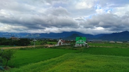 자작도사철민박
