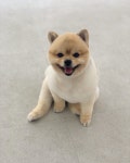 오늘도 예쁘개