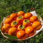 국대인 농산(주) | 국대농장