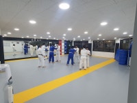 용인대성무유도관