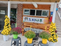 굴지느티나무식당
