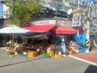 신선야채과일
