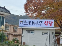 굴지느티나무식당