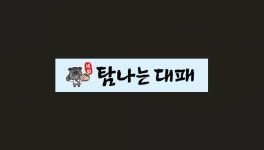 세화 탐나는 대패