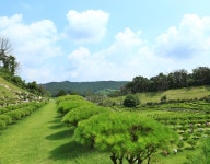 용인수목장 장례서비스