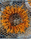 숯불닭발