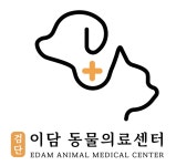 검단 이담 동물의료센터